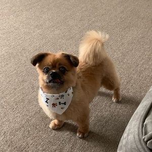 Meet your Posher, Lisa